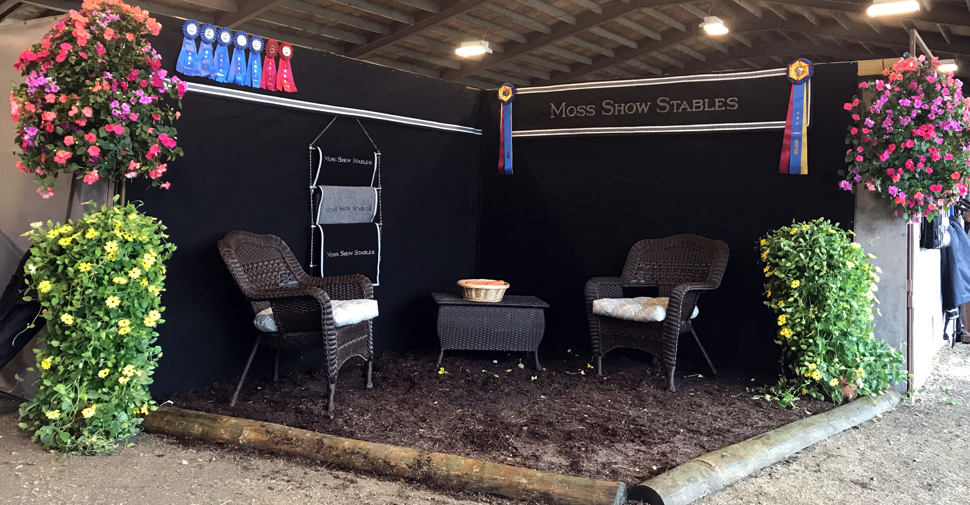 Moss Show Stables — Horse Jumping 